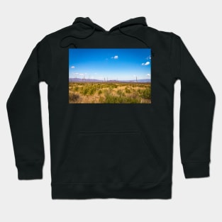 Sotol in the Chihuahuan Desert Hoodie